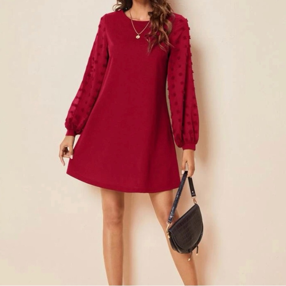 Swiss Dot Side Solid Dress